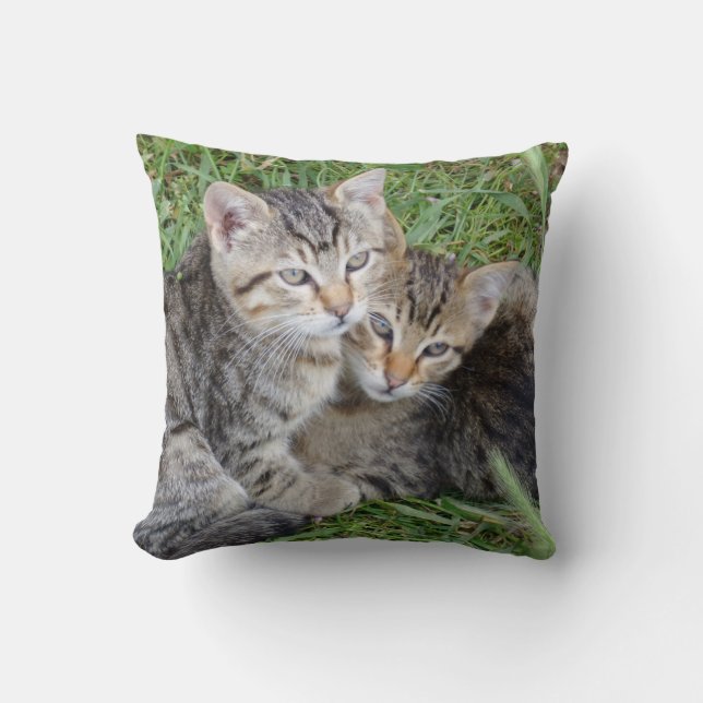 Almofada Tabby Sisters Travesseiro decorativo (Frente)