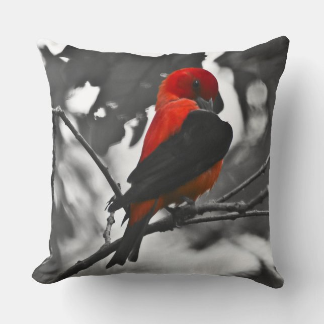 Almofada Tanager Escarlate Macho (Frente)