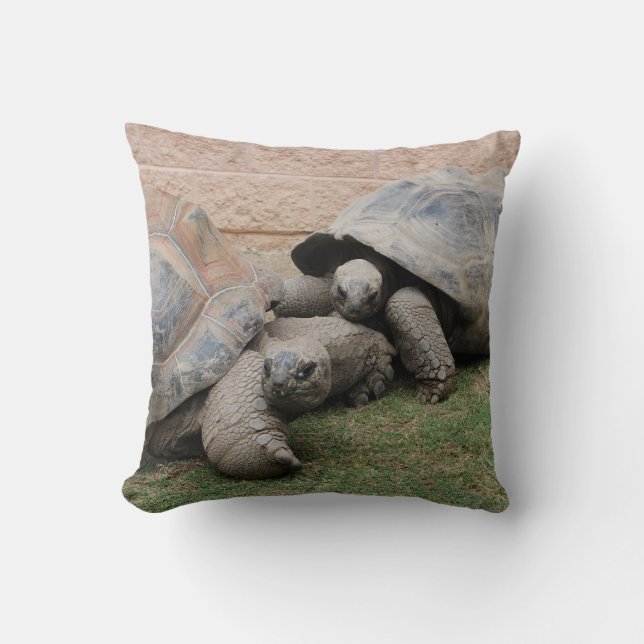 Almofada tartarugas gigantes (Frente)
