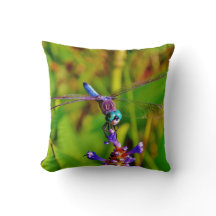 Teal Rainbow Dragonfly