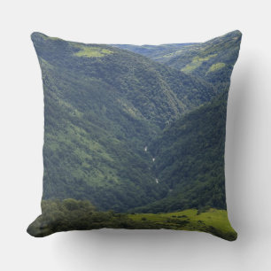 Almofada Terras agrícolas e floresta do Himalaia no vale de