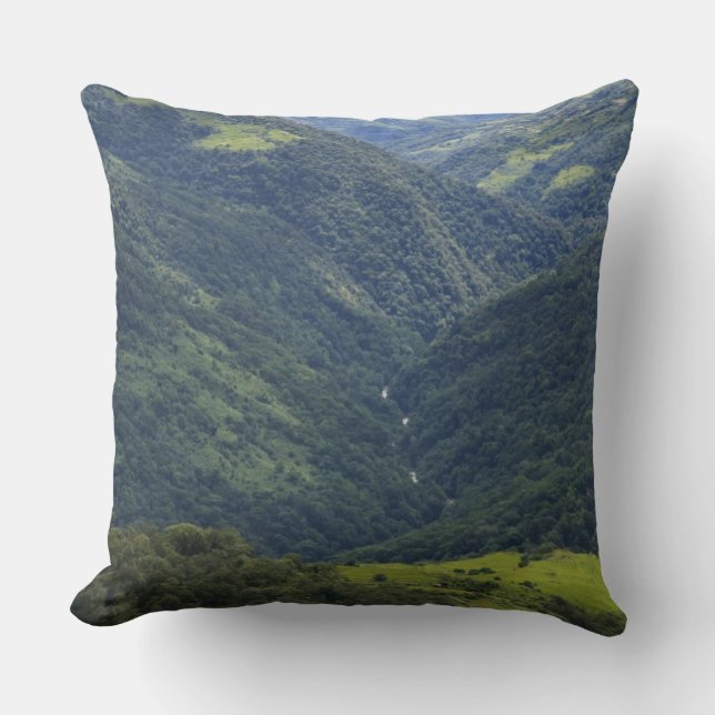 Almofada Terras agrícolas e floresta do Himalaia no vale de (Frente)