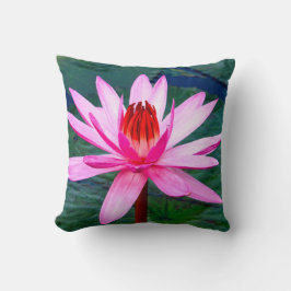 Almofada Thailand - Kumphawapi Lotus Lake