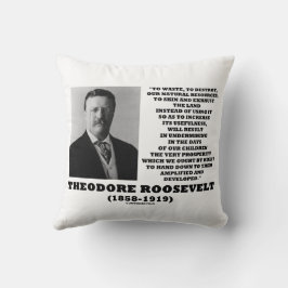 Almofada Theodore Roosevelt Resíduos Destruem Recursos Natu