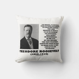 Almofada Theodore Roosevelt Resíduos Destruem Recursos Natu