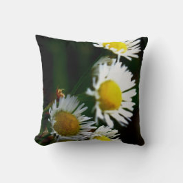 Almofada Throw Pillow