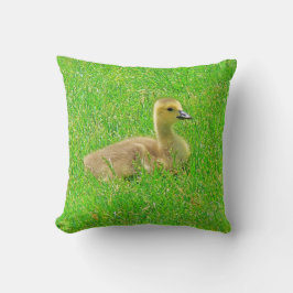 Almofada Throw Pillow Canada Goose