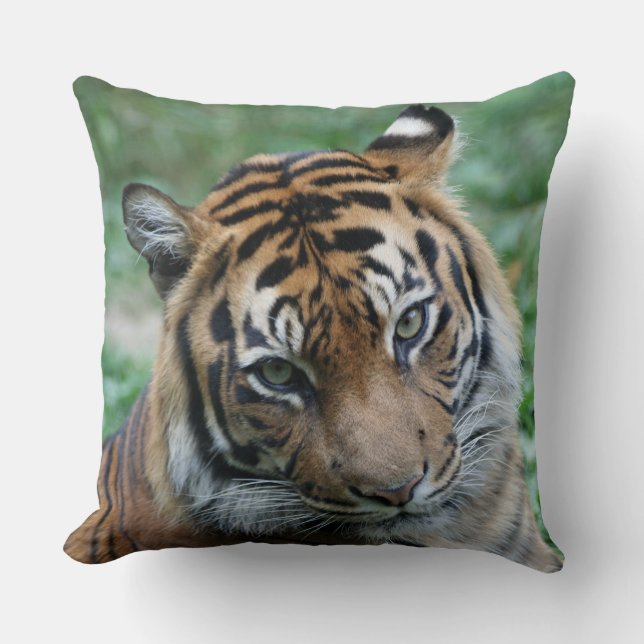 Almofada Tiger esquerda e direita 002 (Frente)