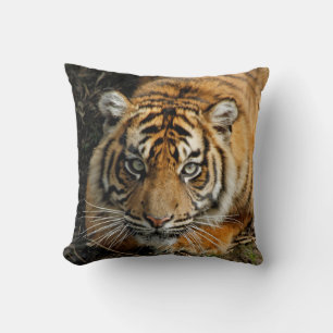 Almofada Tigre 037