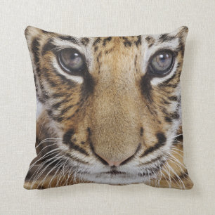 Almofada Tigre Cub
