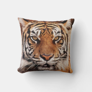 Almofada Tigre-de-sumatra