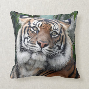 Almofada Tigre de Sumatran