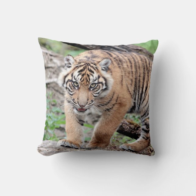 Almofada Tigre fotográfico, animais 0287. (Frente)