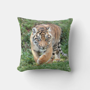 Almofada Tigre fotográfico, gato, animais. travesseiro dec