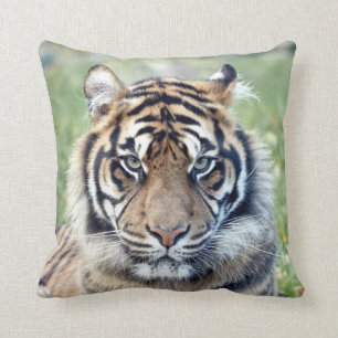 Almofada Tigre fotográfico, gato, animais. travesseiro dec