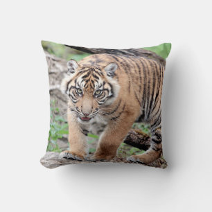 Almofada Tigre fotográfico, gato, animais. travesseiro deco