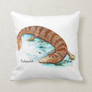 Almofada Tiktaalik