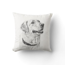 Tiragem de labrador retriever