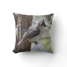 Titmouse adornado no primavera