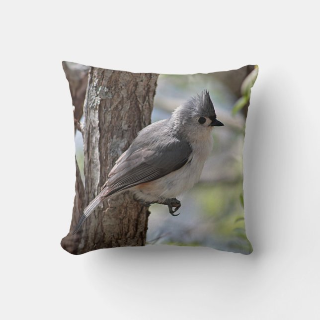 Almofada Titmouse adornado no primavera (Frente)