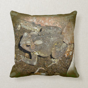 Almofada Toad comum - Bufo bufo