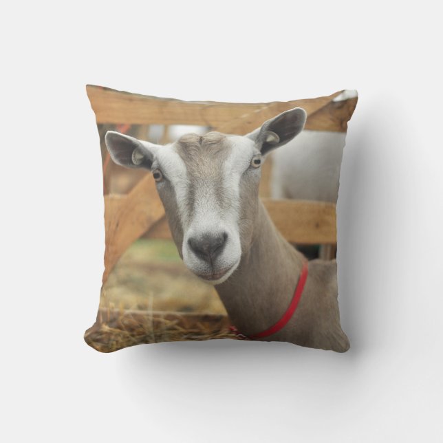 Almofada Toggenburg Dairy Goat Doe (Frente)