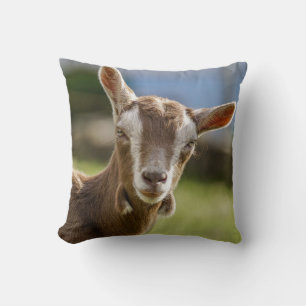 Almofada Toggenburg Dairy Goat Kid