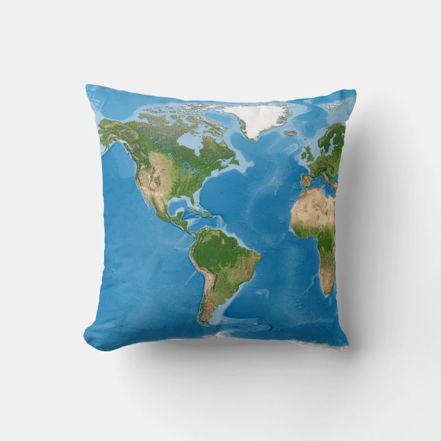 Almofada Topographic World Map Earth Illustration (Frente)