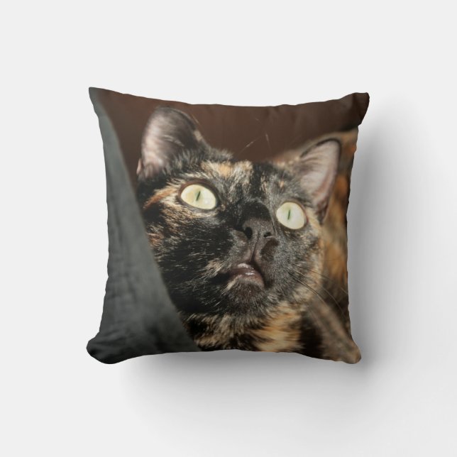 Almofada tortie cat pillow (Frente)