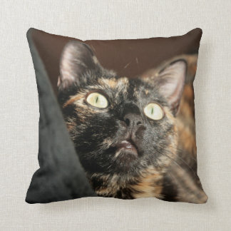Almofada tortie cat pillow