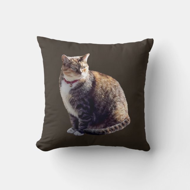 Almofada Tortoisinferno Cat (Frente)