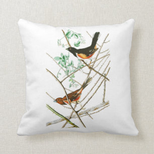 Almofada Towhe que Bunting pássaros de John James Audubon