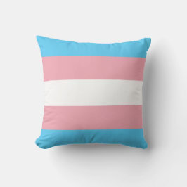 Almofada Travesseira Decorativa Bandeira Transgênero 40 x 4