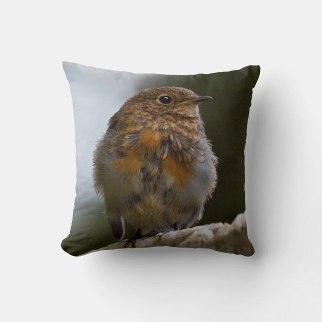 Almofada Travesseiro Baby Robin (Frente)