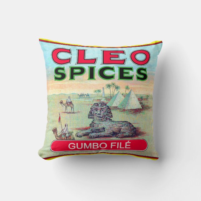 Almofada Travesseiro Cleo Spices (Frente)