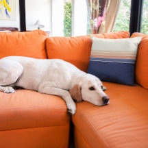 Travesseiro com risca de pêssego e azul retrô