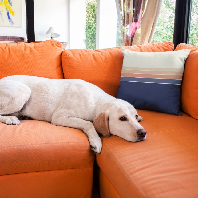 Almofada Travesseiro com risca de pêssego e azul retrô (Retro striped pillow is perfect for humans and doggos!)