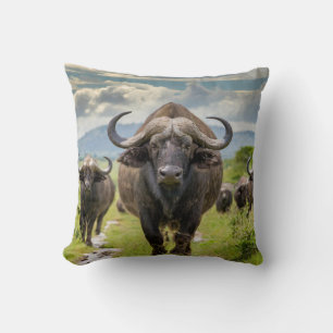 Almofada Travesseiro Cool Buffalo!
