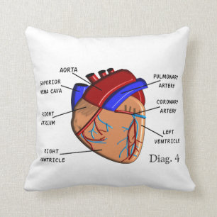Almofada Travesseiro da cardiologia "o coração" Diag. 4
