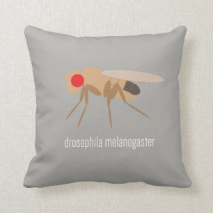 Almofada Travesseiro da drosófila