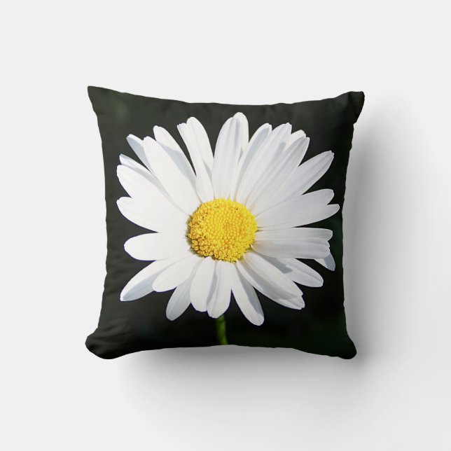 Almofada Travesseiro da Flor Shasta Daisy White Jumbo (Frente)