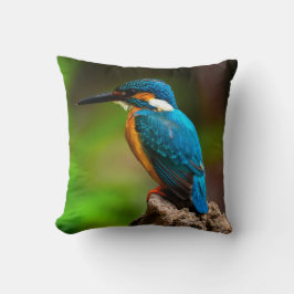 Almofada Travesseiro da natureza das aves de Kingfisher