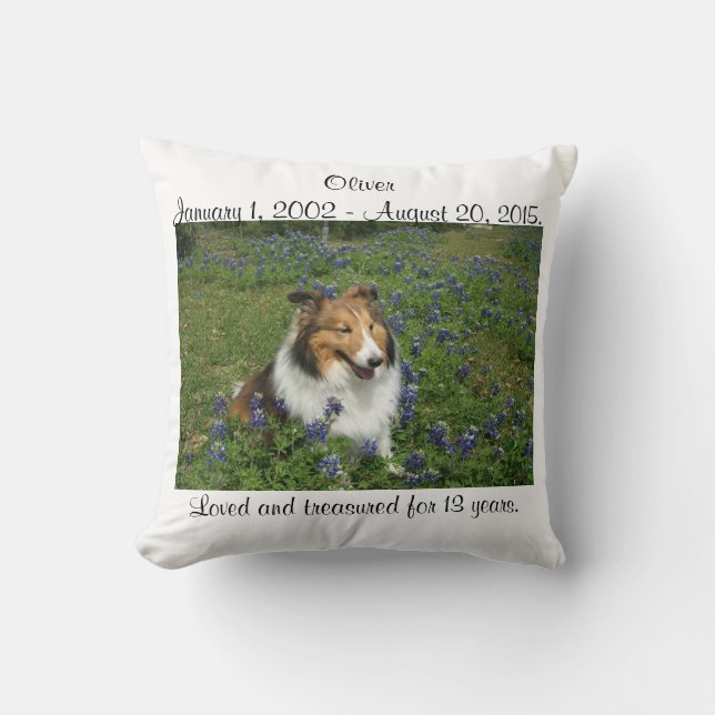 Almofada Travesseiro da ponte do arco-íris (Frente)