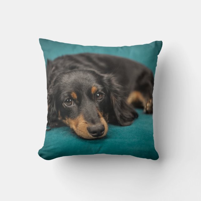 Almofada Travesseiro Dachshund de Cabelo Longo (Frente)
