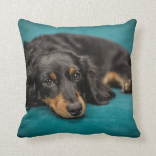 Almofada Travesseiro Dachshund de Cabelo Longo