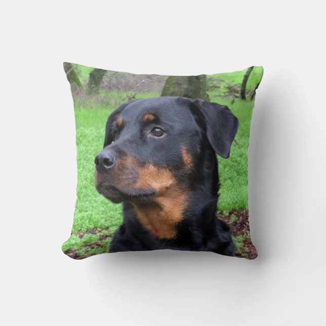 Almofada Travesseiro Daydreaming de Rottweiler (Frente)
