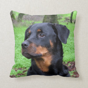 Almofada Travesseiro Daydreaming de Rottweiler