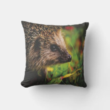 Travesseiro de Animalouriço-Cacheiro