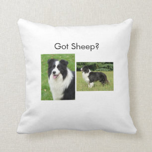 Almofada Travesseiro de border collie