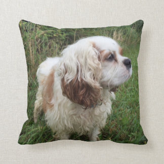 Almofada Travesseiro de Branson